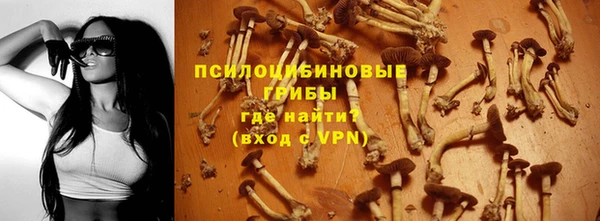 прущие крисы Беломорск