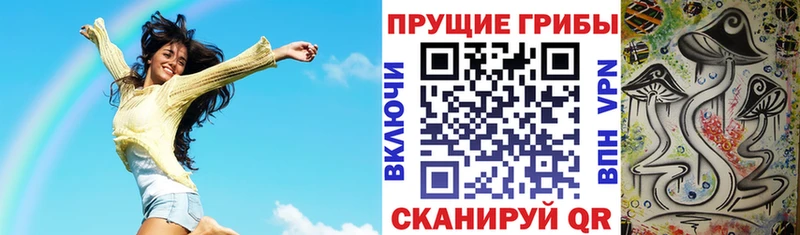 Псилоцибиновые грибы Psilocybe  Купино 